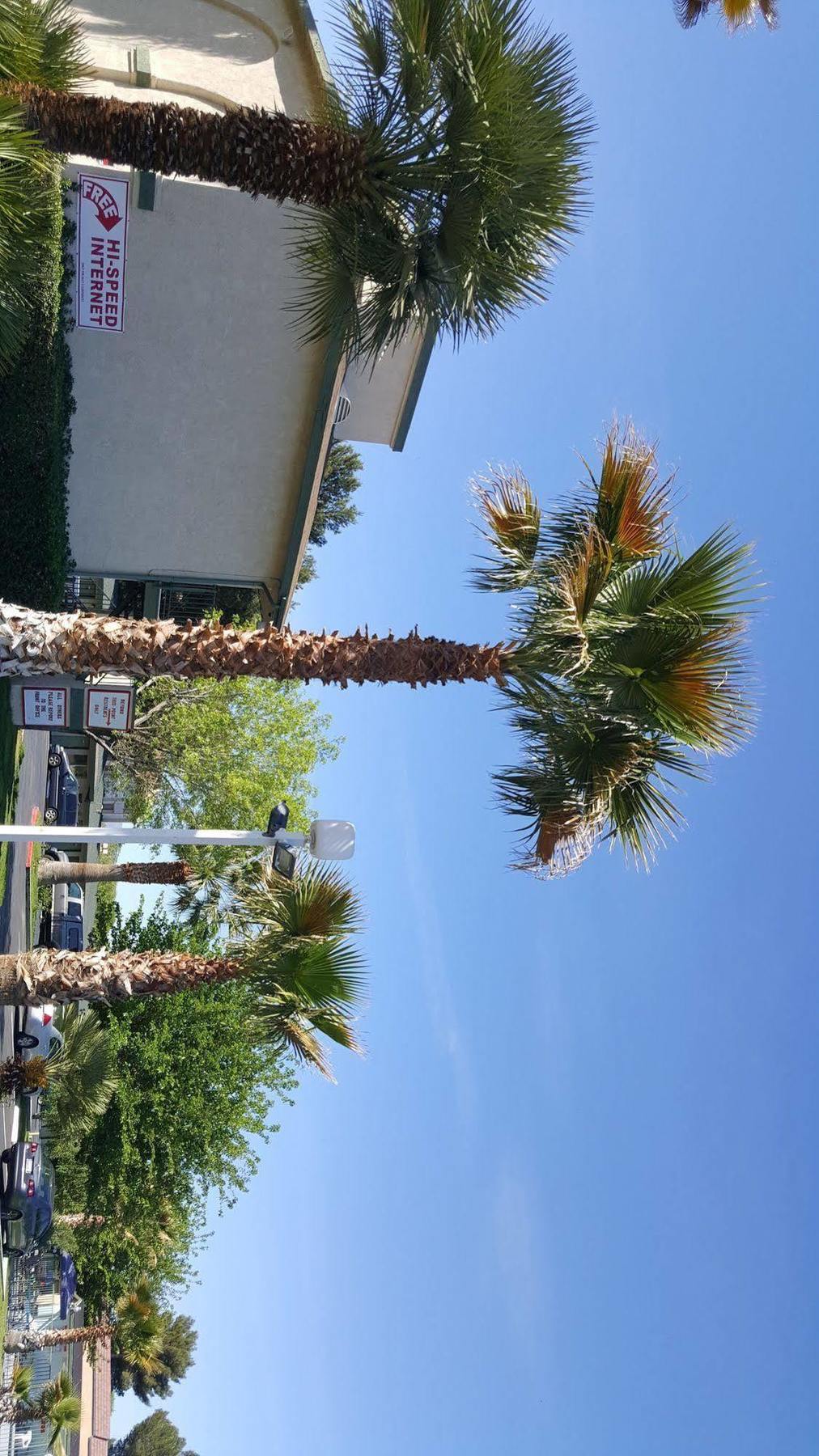 Town House Motel Λάνκαστερ Εξωτερικό φωτογραφία